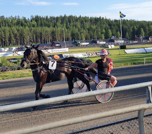 Årjängstravet Årjängstravet